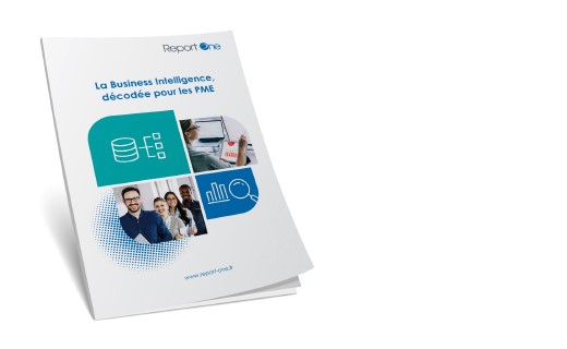 Livre blanc : la business intelligence décodée pour les PME